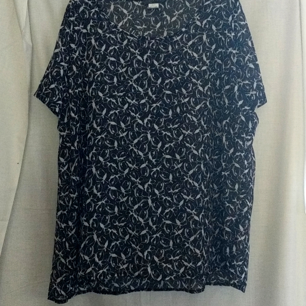 Sheer dressy blouse